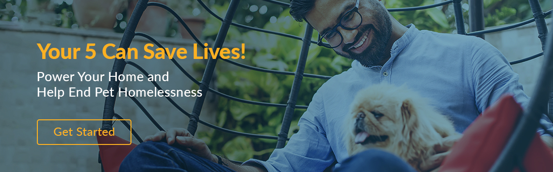 Your 5 Can Save Lives! Power Your Home and Help End Pet Homelessness. Get Started Today!